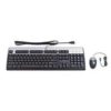 Teclado Y Mouse Hp Bfr Pvc Usb Inglés Negro/Plata - 631341-B21 - Imagen 3